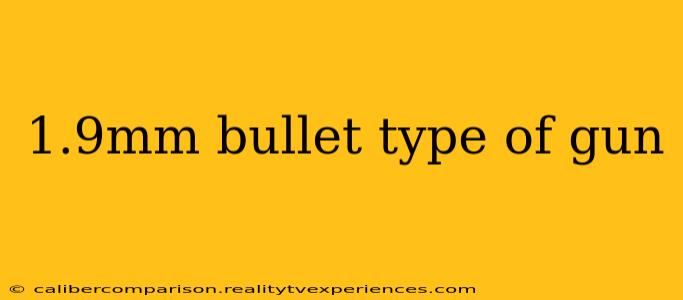 1.9mm bullet type of gun