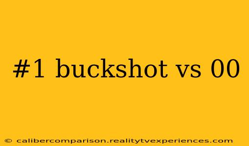 #1 buckshot vs 00