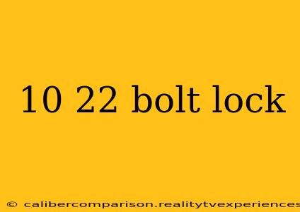 10 22 bolt lock