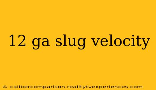 12 ga slug velocity