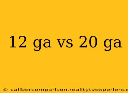 12 ga vs 20 ga