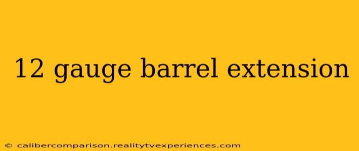 12 gauge barrel extension