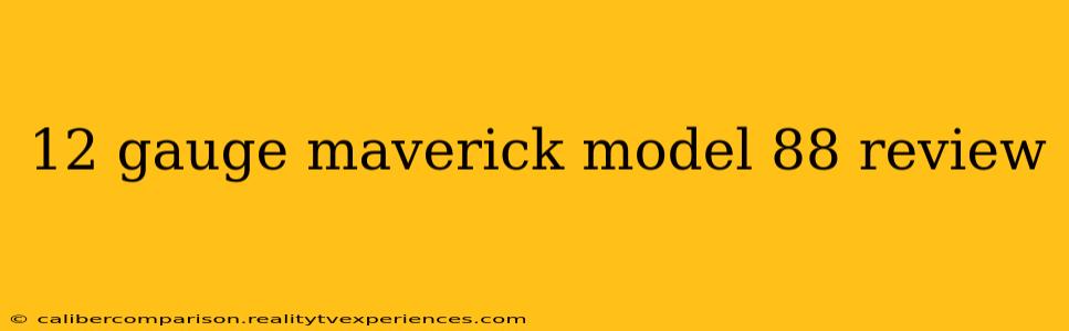 12 gauge maverick model 88 review