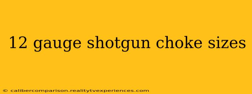 12 gauge shotgun choke sizes