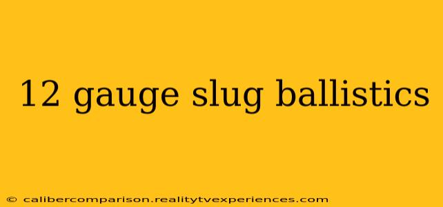 12 gauge slug ballistics