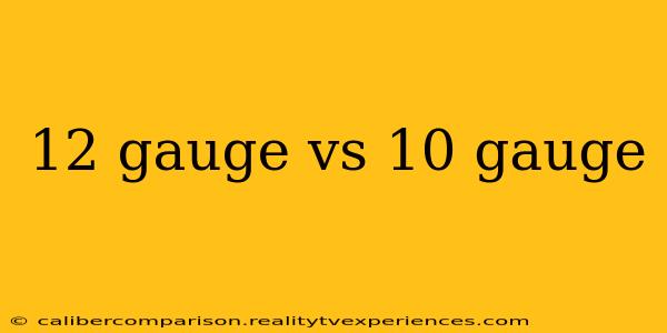 12 gauge vs 10 gauge