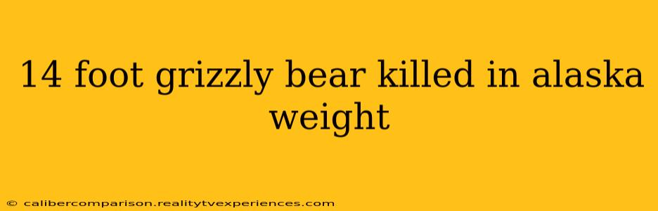 14 foot grizzly bear killed in alaska weight