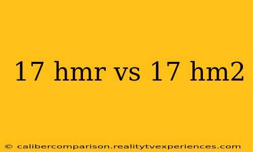 17 hmr vs 17 hm2