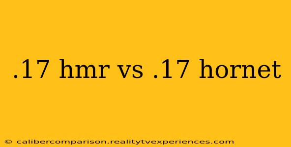 .17 hmr vs .17 hornet