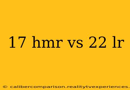 17 hmr vs 22 lr