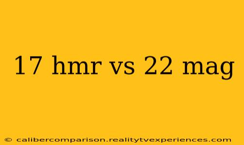 17 hmr vs 22 mag