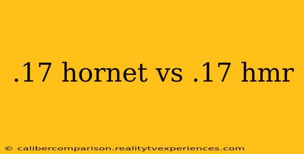 .17 hornet vs .17 hmr