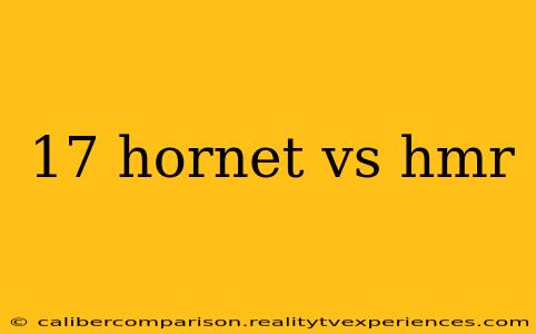 17 hornet vs hmr