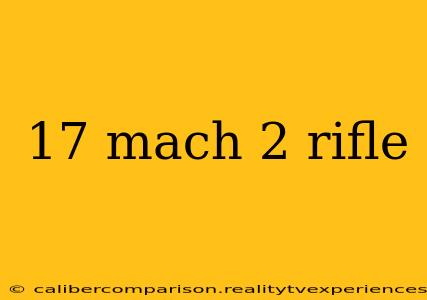 17 mach 2 rifle