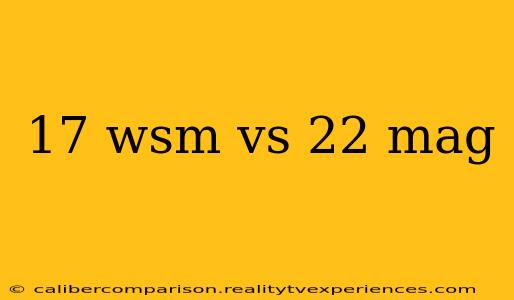 17 wsm vs 22 mag