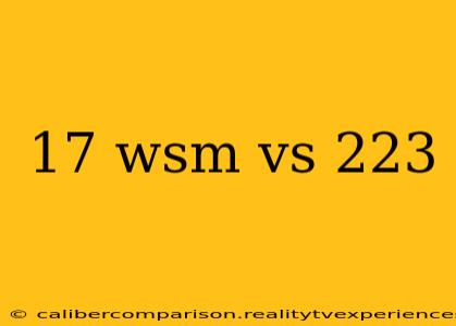 17 wsm vs 223