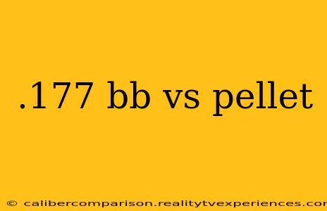 .177 bb vs pellet