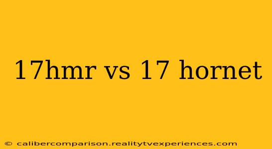 17hmr vs 17 hornet