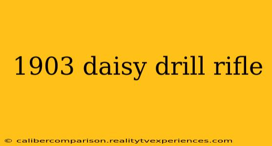 1903 daisy drill rifle