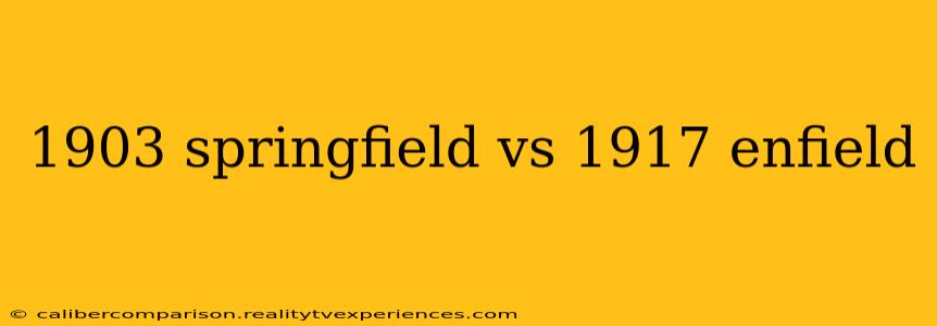 1903 springfield vs 1917 enfield