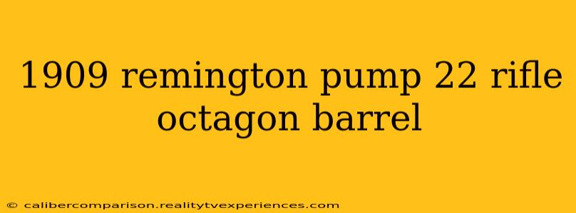 1909 remington pump 22 rifle octagon barrel