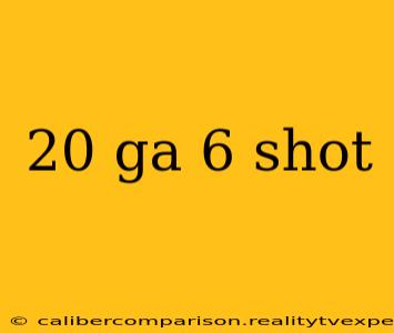 20 ga 6 shot