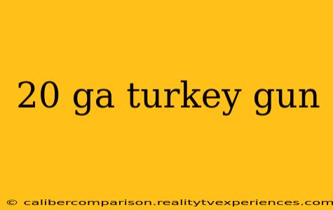 20 ga turkey gun