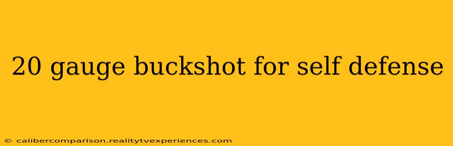 20 gauge buckshot for self defense