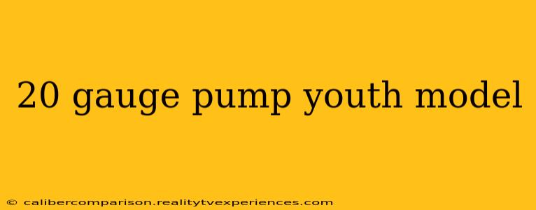 20 gauge pump youth model