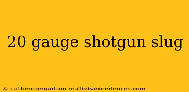 20 gauge shotgun slug