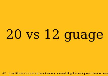 20 vs 12 guage