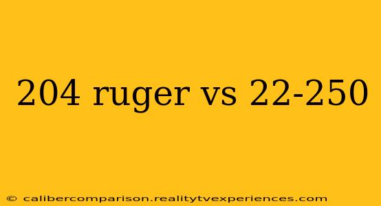 204 ruger vs 22-250