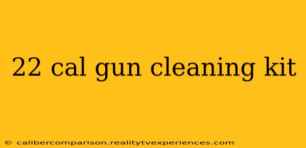 22 cal gun cleaning kit