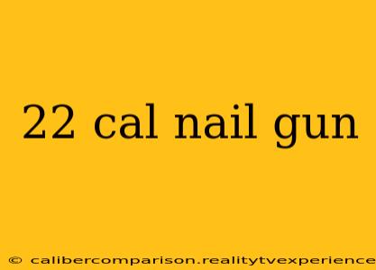 22 cal nail gun