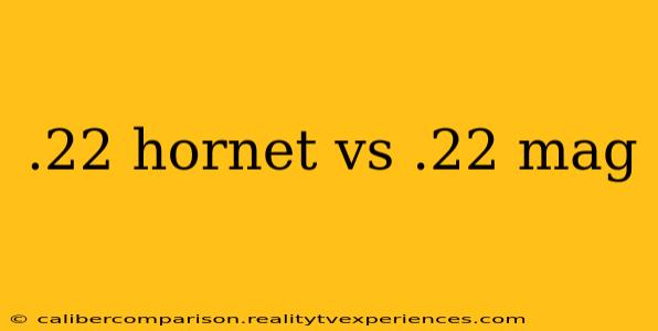 .22 hornet vs .22 mag