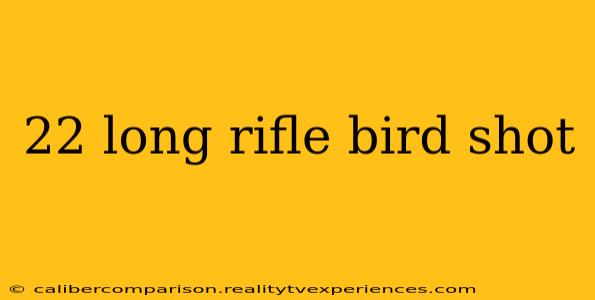 22 long rifle bird shot