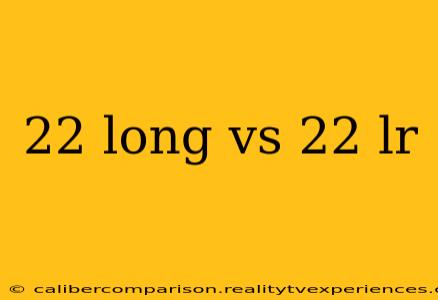 22 long vs 22 lr