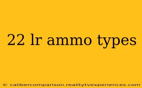 22 lr ammo types