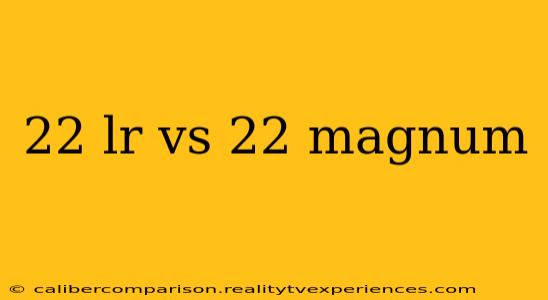 22 lr vs 22 magnum