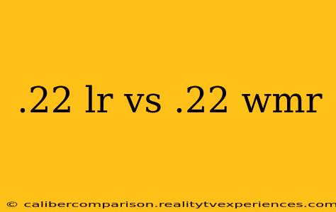 .22 lr vs .22 wmr