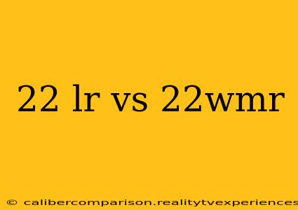 22 lr vs 22wmr