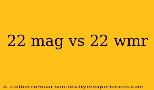 22 mag vs 22 wmr