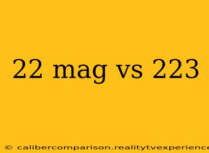 22 mag vs 223