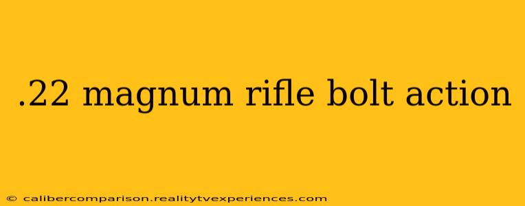 .22 magnum rifle bolt action