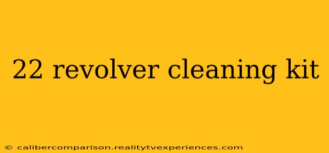 22 revolver cleaning kit