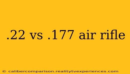 .22 vs .177 air rifle