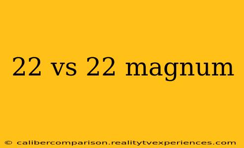 22 vs 22 magnum