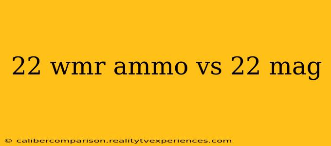 22 wmr ammo vs 22 mag