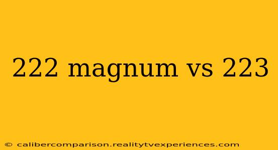 222 magnum vs 223