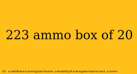 223 ammo box of 20